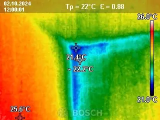 Termografisk detalje 2